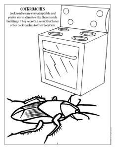 Cockroach Pest Control Coloring Page