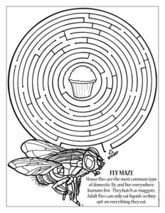 Fly Maze Pest Control Activity Page