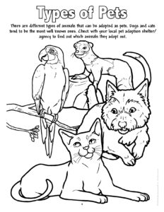 Types of Pets Coloring Page