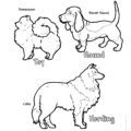Dog Breeds Coloring Page