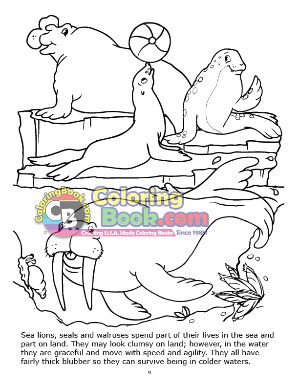 Sea Lions and Seals Coloring Page