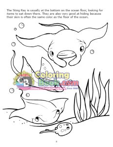 Sting Rays and Manta Rays Coloring Page