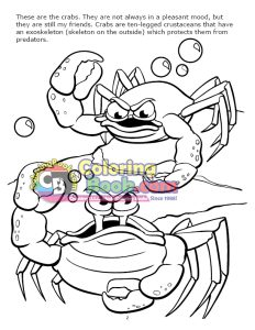 Crabs Coloring Page
