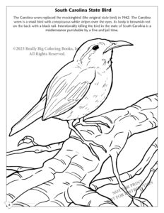 Carolina Wren - South Carolina State Bird Coloring Page
