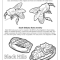 State of South Dakota Coloring Page: South Dakota State Insect Honey Bee and State Jewelry Black Hills Gold