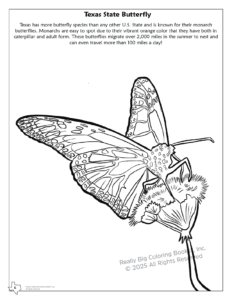 Texas State Coloring Book Butterfly