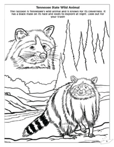 Tennessee State Coloring Book