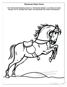 Tennessee State Coloring Book