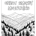 Tennessee State Coloring Book