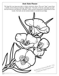Utah State Flower Coloring Page: Sego Lily