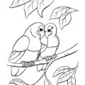 Love Birds Valentines Coloring Page