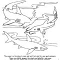 Ocean Safety Coloring Page Water Safety