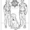 Monterey County (CA) District Attorney's Office Coloring Page: What Happens in Court