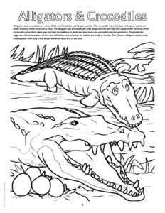 Alligators and Crocodiles Coloring Page