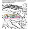 Alligator and Crocodile Coloring Page