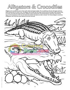 Alligator and Crocodile Coloring Page