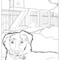 The National Zoo Harley Coloring Page