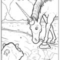 Inquisitive Unicorn Coloring Page Unicorns Really Big Coloring Book