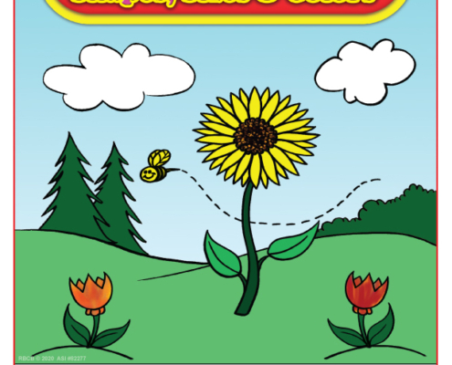 Shapes Sizes and Colors Imprint Coloring and Activity Book