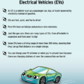 Don't Be Fuelish: Introducing Evan, the Electric Vehicle (EV) Story Book. Evan McClean's Fun Facts about Electrical Vehicles (EVs)