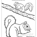 Kentucky State Coloring Books