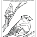 Kentucky State Coloring Books