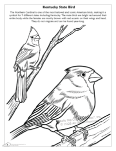 Kentucky State Coloring Books