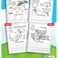 Learn to Write ABC's & Numbers Coloring Workbook