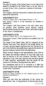President Donald J Trump US Constitution