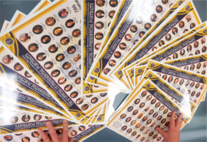 Ideal for classrooms, office buildings, bedrooms, government offices, study spaces—designed for educators and students learning about U.S. history and government. Designed with teachers and educators in mind to study and learn about the executive branch.