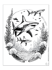 Ocean Life Imprint Coloring Book