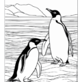 Ocean Life Imprint Coloring Book