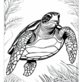 Ocean Life Imprint Coloring Book