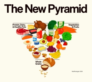 Real Food Starts Here