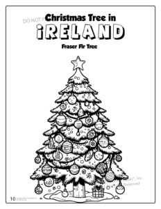 Christmas Trees Around the World