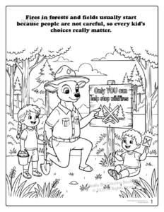 How to prevent forest fires across America Coloring Book