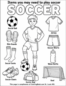 How Soccer Came to America: From Overseas to the FIFA World Cup