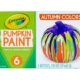 6 Ct Pumpkin Paint Set, Autumn Colors