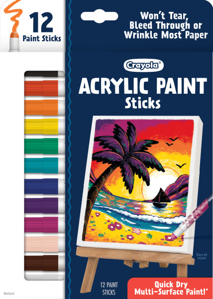 12ct Acrylic Paint Doodle Sticks