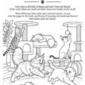 Cats_Imprint_Page_1