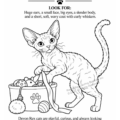 Cats_Imprint_Page_10