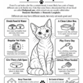Cats_Imprint_Page_12
