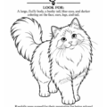 Cats_Imprint_Page_2