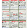 We Shall Never Forget 9/11 Coloring Book with anti-terror trading cards the True Faces of Evil Terror Vol. II